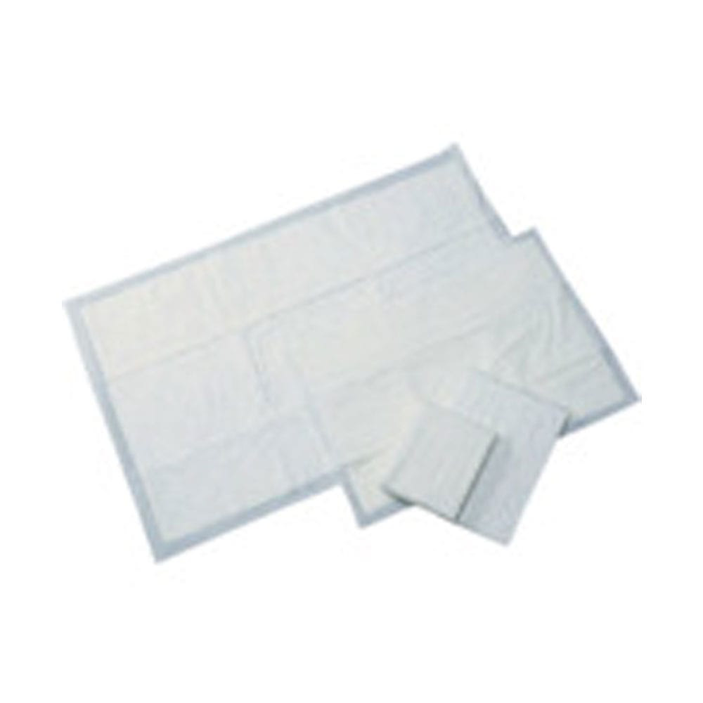 橋本 吸水パッド 440×600mm (100枚入) メーカー直送 ▼返品・キャンセル不可【他商品との同時購入不可】