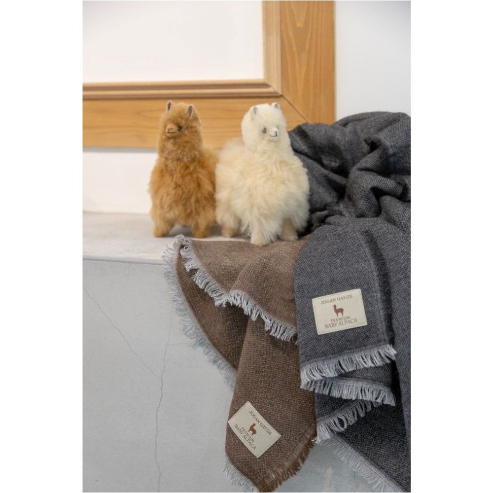 Z1143 一重ガーゼストール ブラウン BAIG-1200 【直送品】 返品・キャンセル・他商品と同時購入は不可