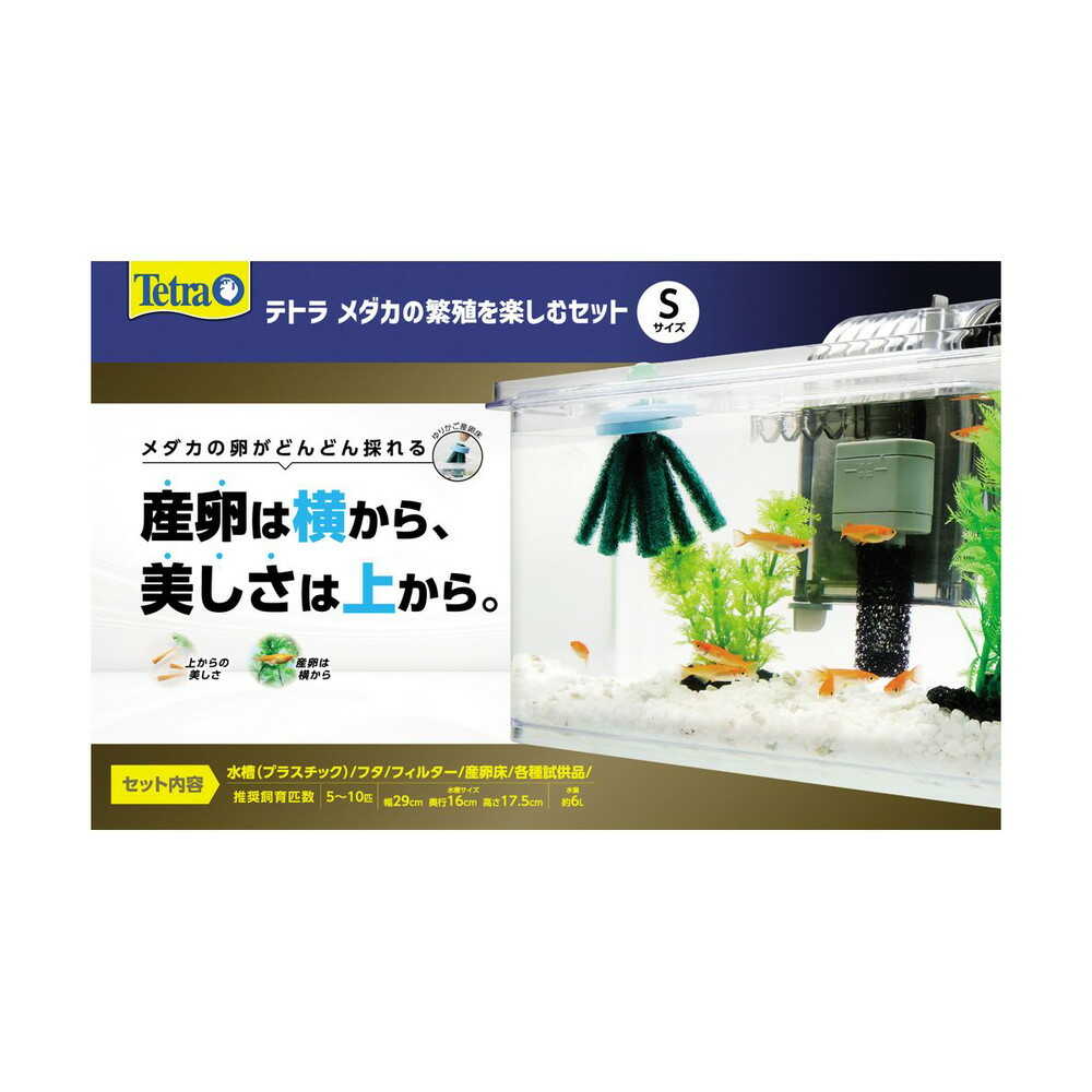スペクトラムブランズジャパン テトラ メダカの繁殖を楽しむセット S 1セット