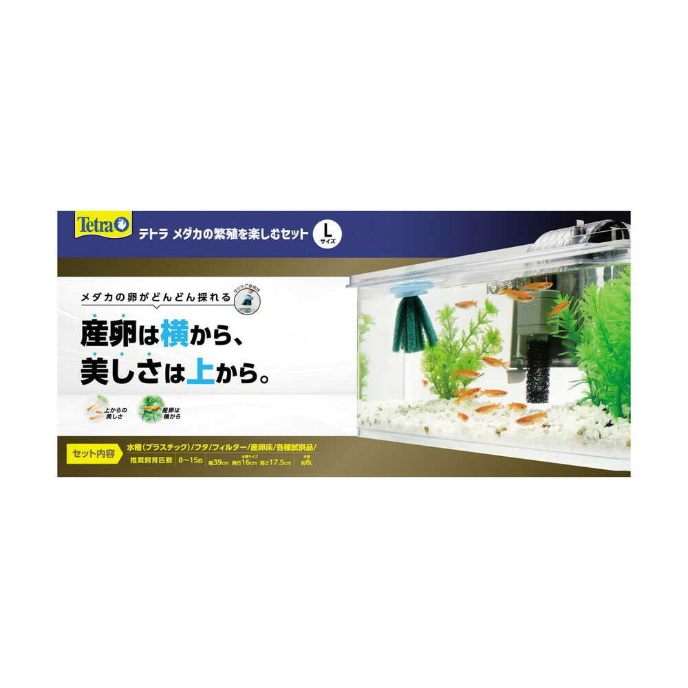 スペクトラムブランズジャパン テトラ メダカの繁殖を楽しむセット L 1セット