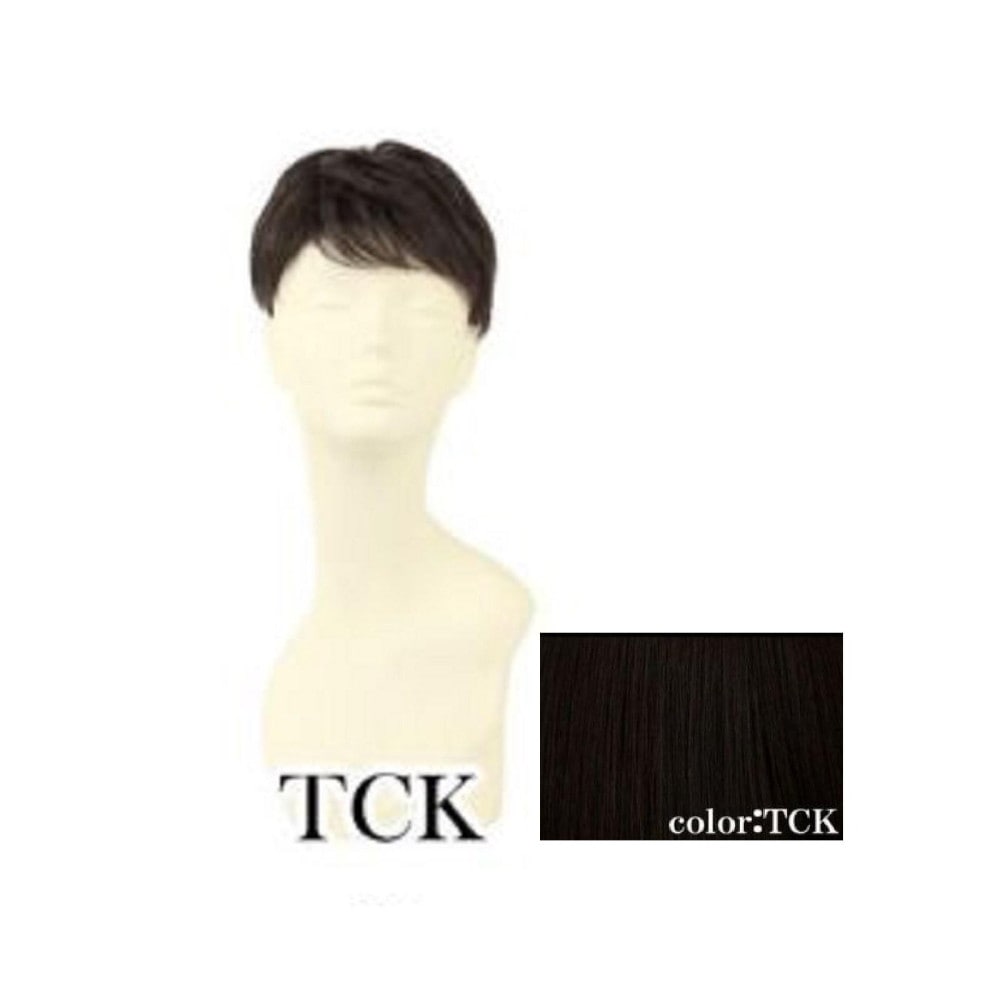 プリシラ  男性用5分ウィッグ レイヤーショート 耐熱 【直送品】 返品・キャンセル・他商品と同時購入は不可