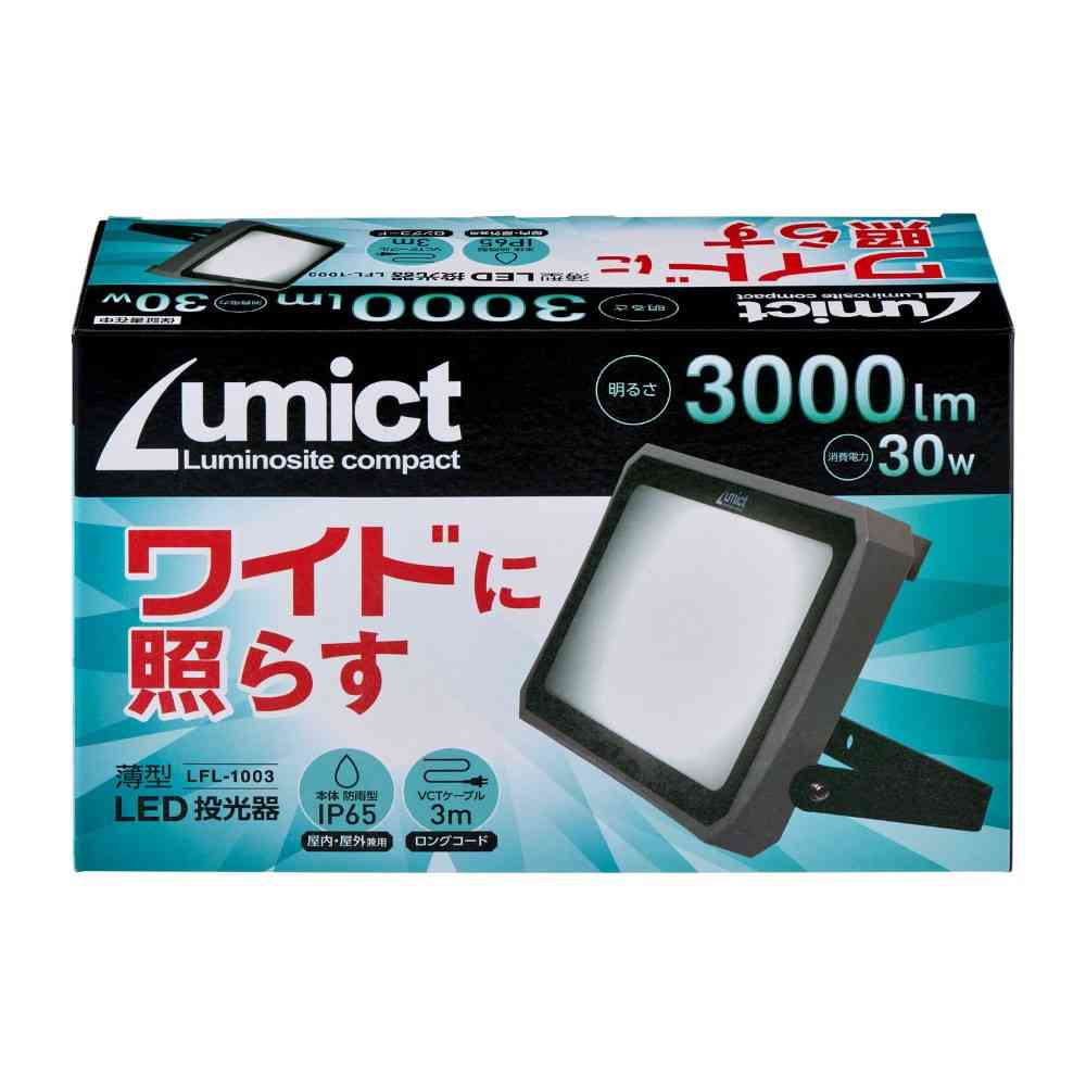 エルパ ELPA AC式投光器 3000LM LFL-1003