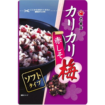 ◆大森屋 カリカリ梅 赤しそ 40G【10個セット】