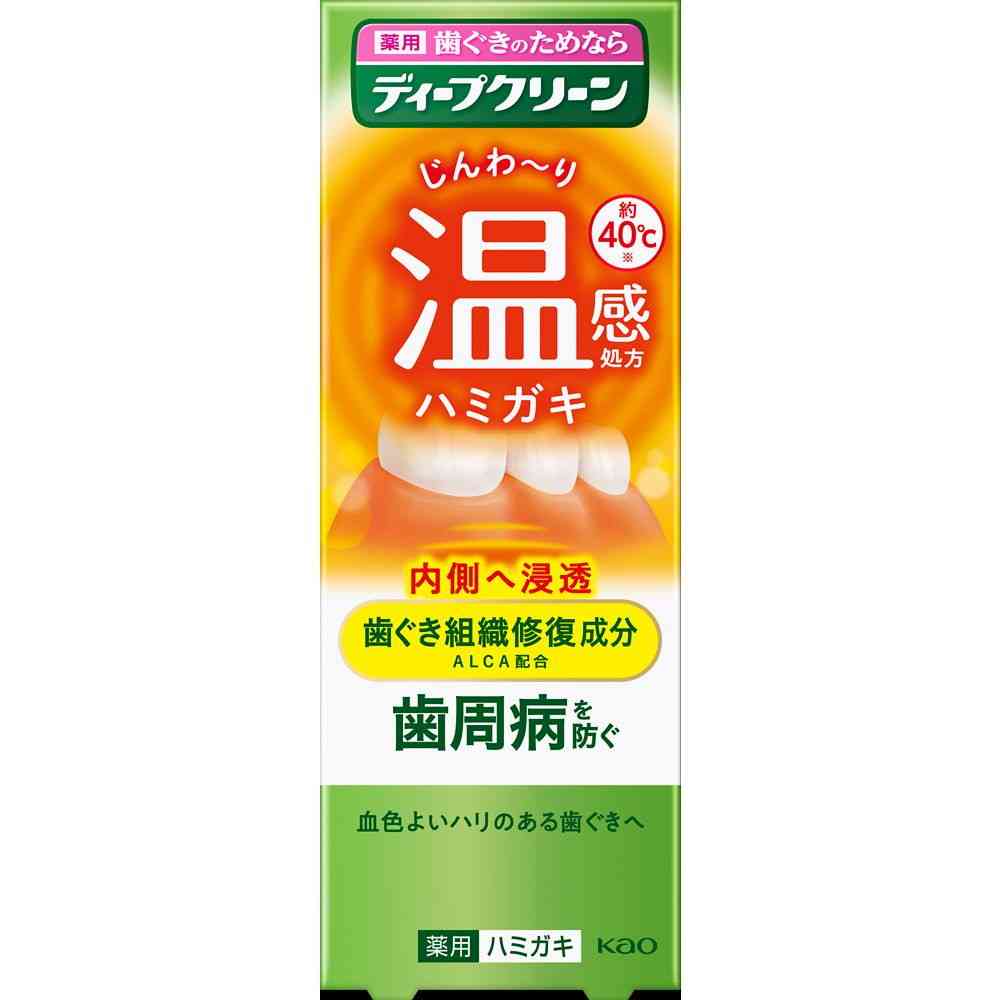 【医薬部外品】花王 ディープクリーン 薬用温感ハミガキ 85g