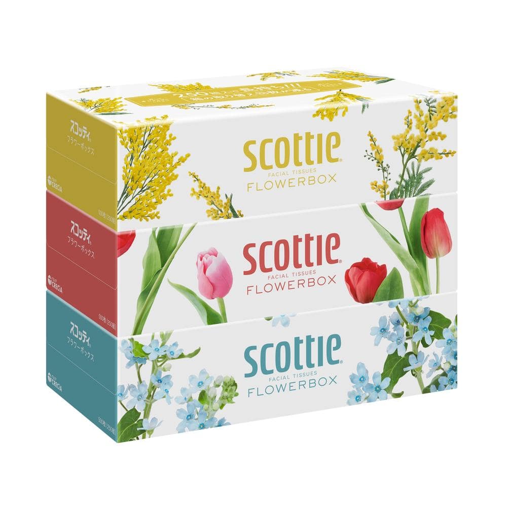 日本製紙 クレシア スコッティ ティシュー フラワーボックス 250組×3個入 【18個セット】