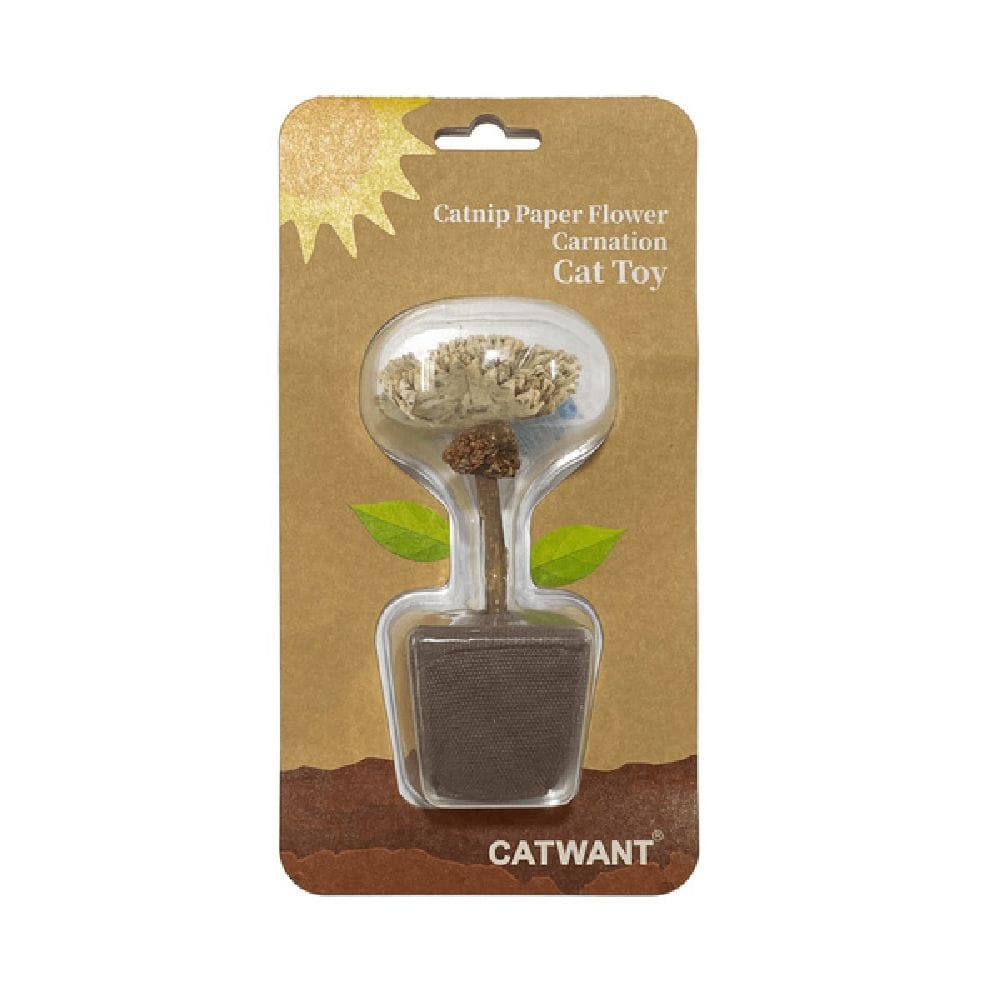 キャットニップカーネーション 1個