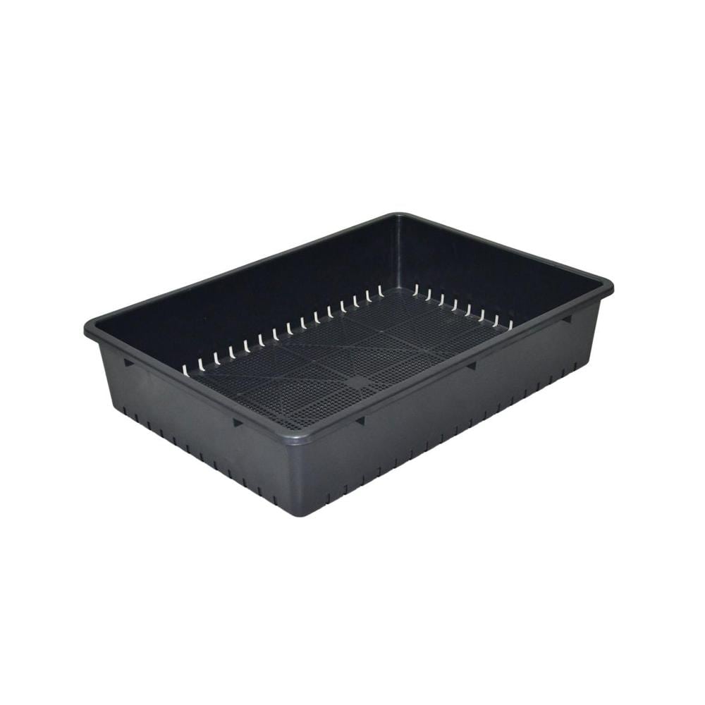 アップルウェアー 育苗箱 スミグレー