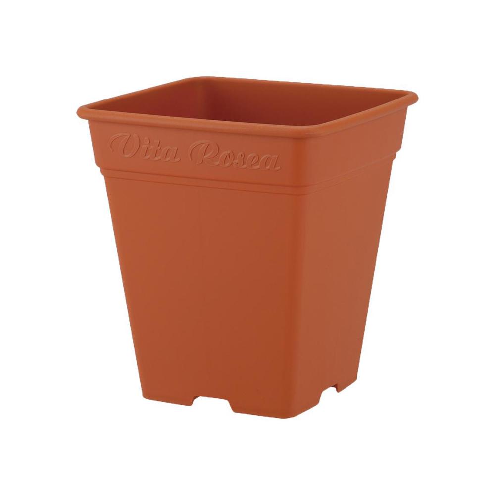 アップルウェアー ロゼアスクエア ブラウン