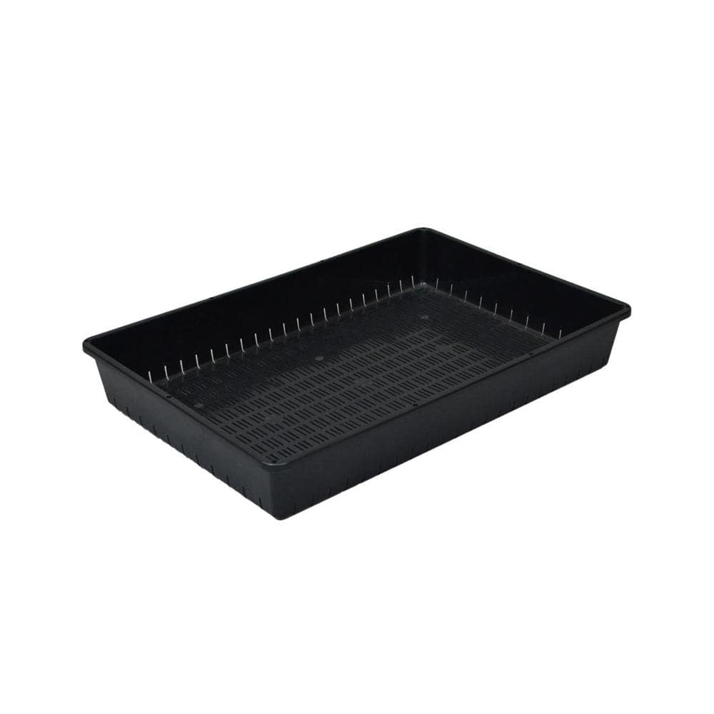 アップルウェアー 育苗コンテナ ブラック