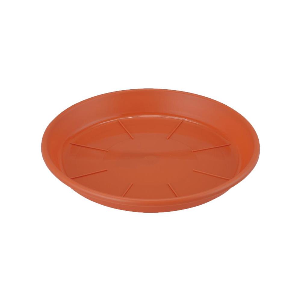 アップルウェアー 浅皿AP テラコッタ