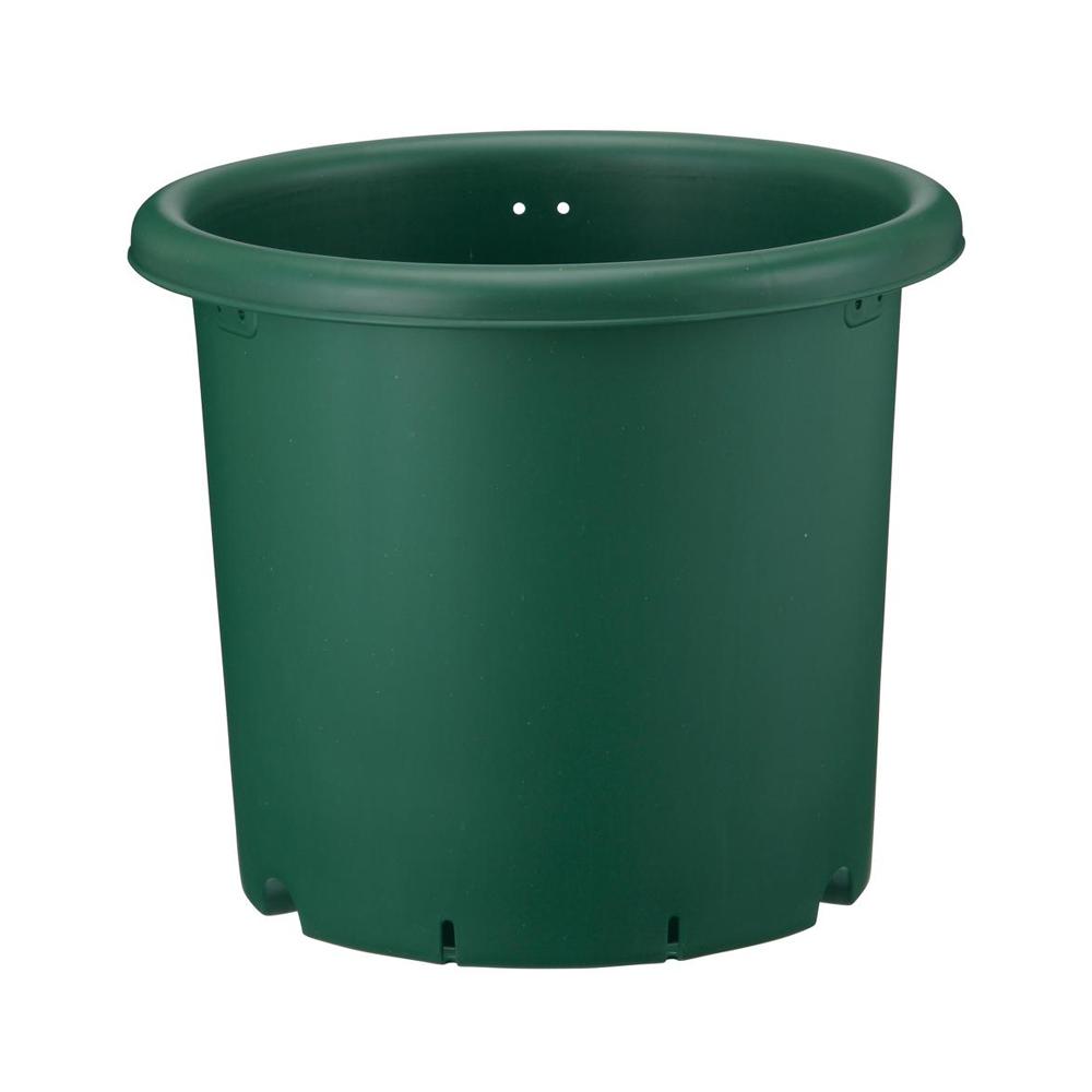 アップルウェアー 野菜鉢 グリーン