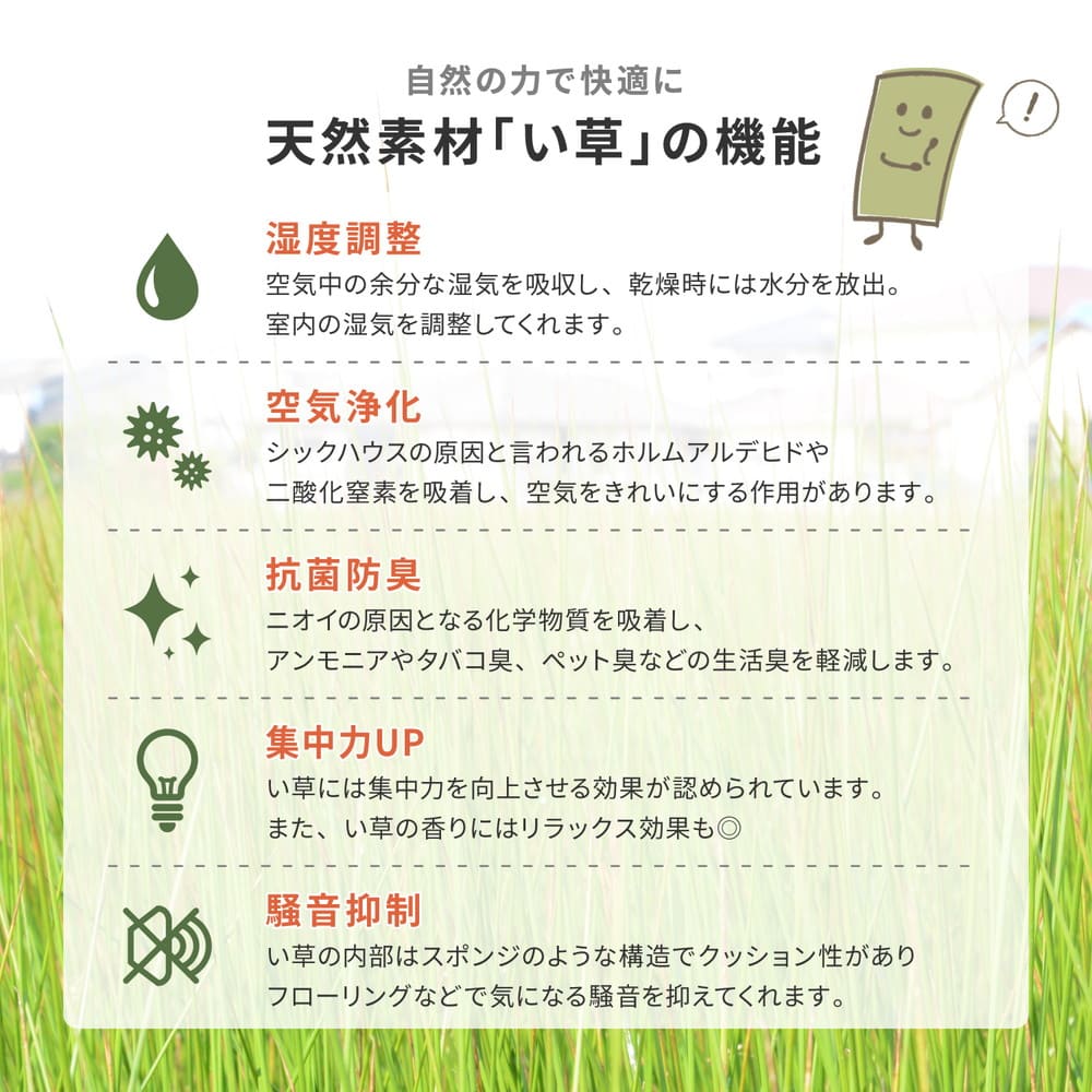 い草カーペット 柳川(やながわ) 江戸間4.5畳 メーカー直送 ▼返品・キャンセル不可【他商品との同時購入不可】