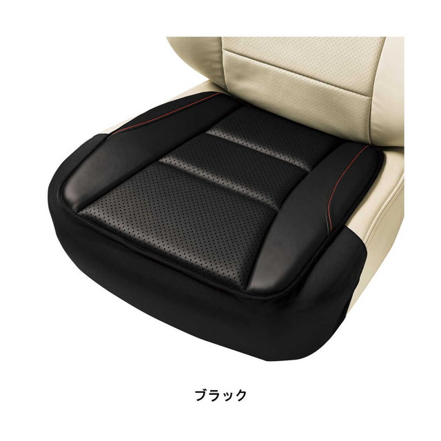 レザーアロー45x45cm(ヒップ型)BK