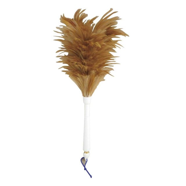 ミニカラ‐ケバタキ(ブラウン)