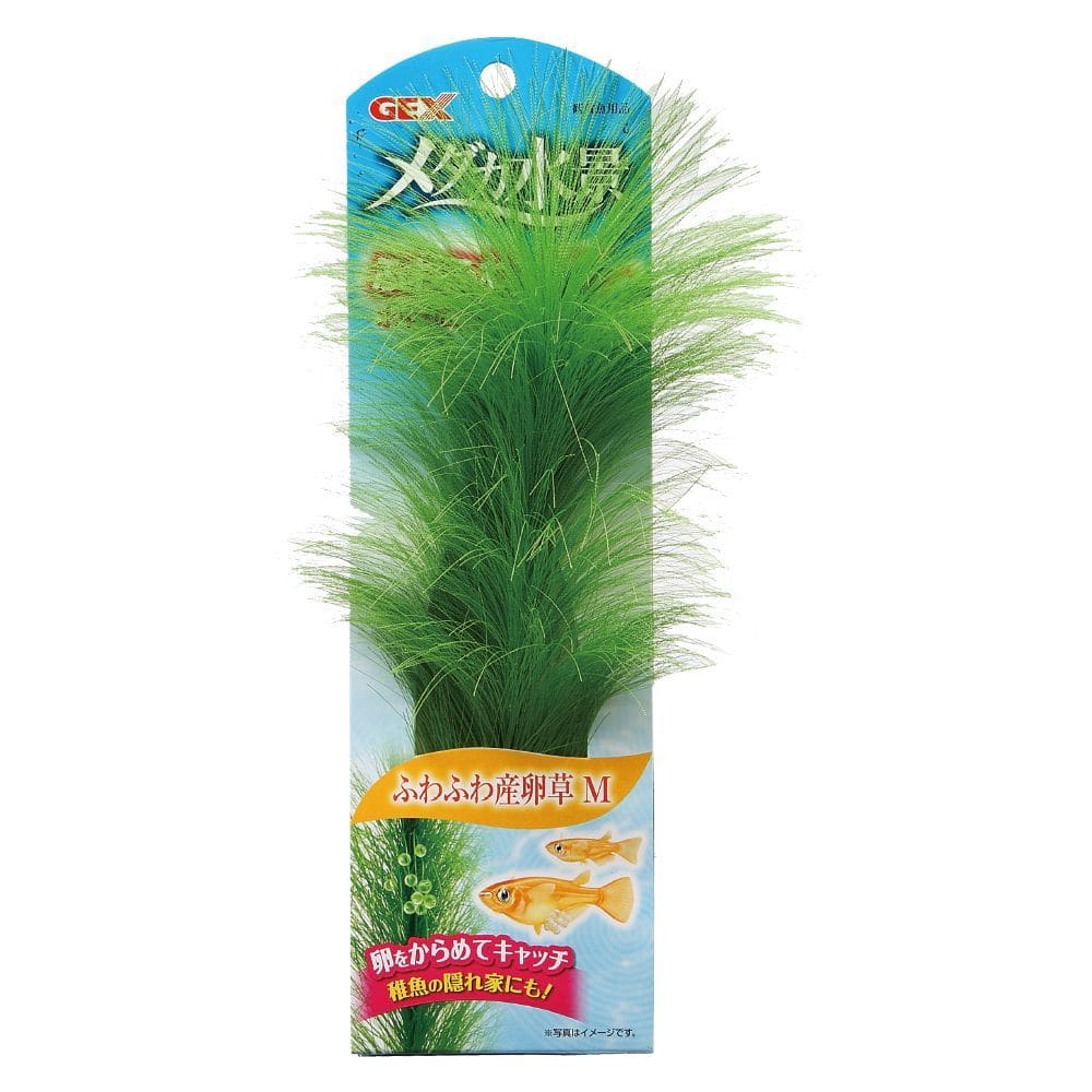 ジェックス メダカ水景ふわふわ産卵草 M