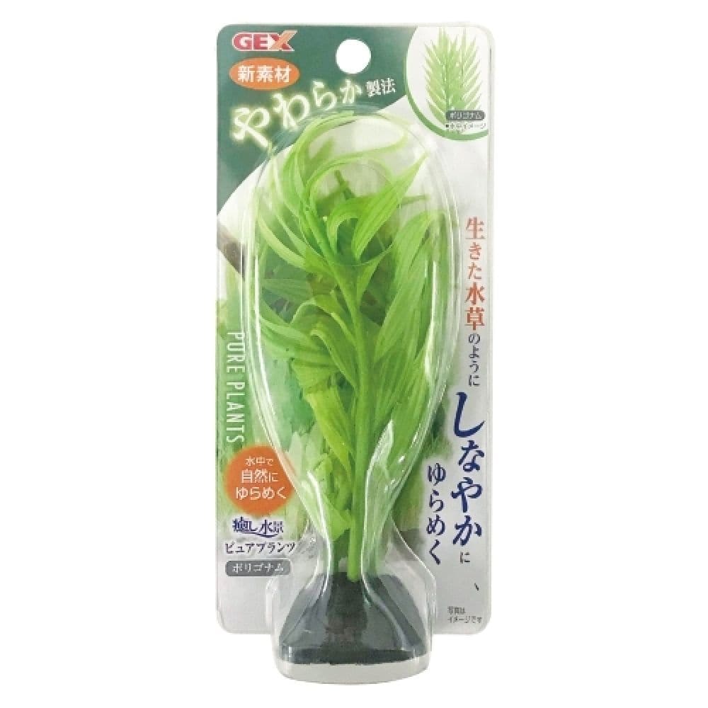 ジェックス 癒し水景ピュアプランツポリゴナム