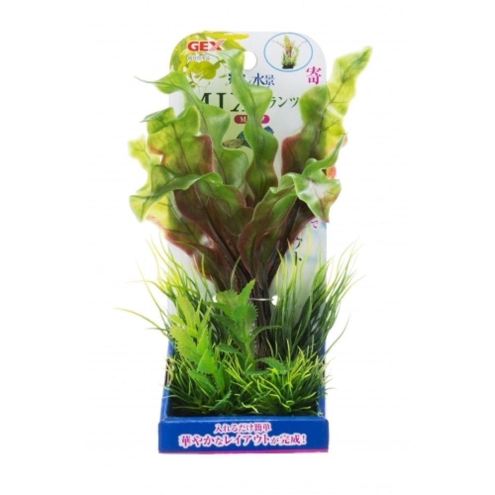 ジェックス 癒し水景MIXプランツアポノ M