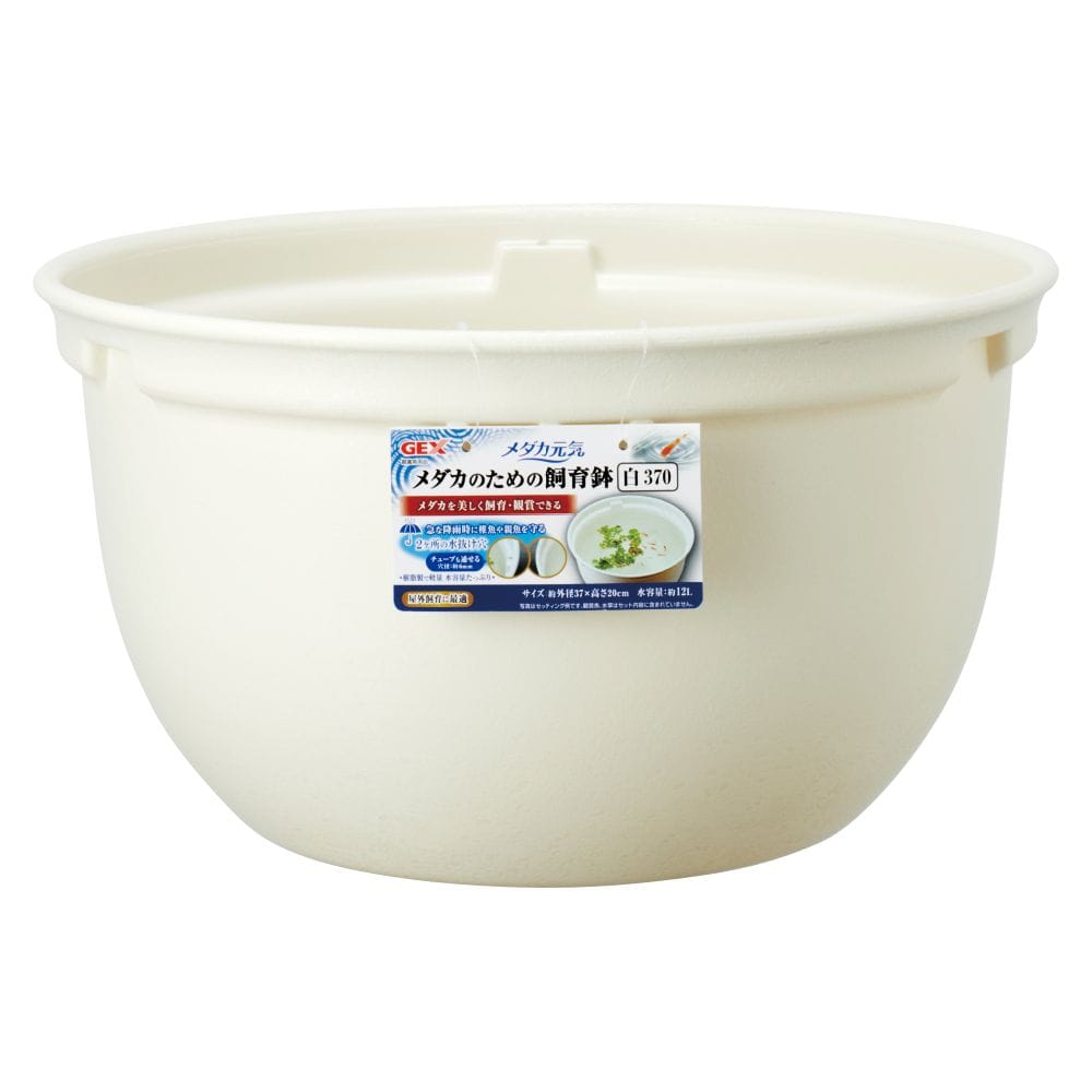 ジェックス メダカのための飼育鉢