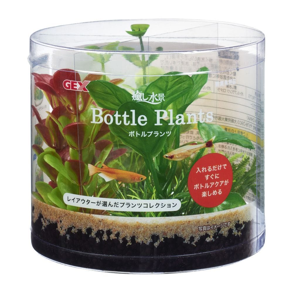 ジェックス 癒し水景ボトルプランツアヌビアス