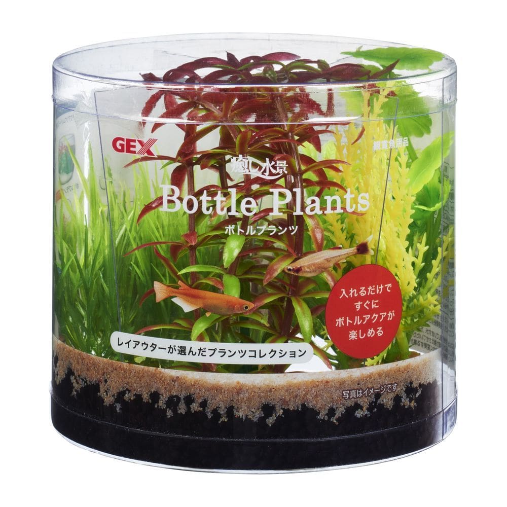 ジェックス 癒し水景ボトルプランツロタラ