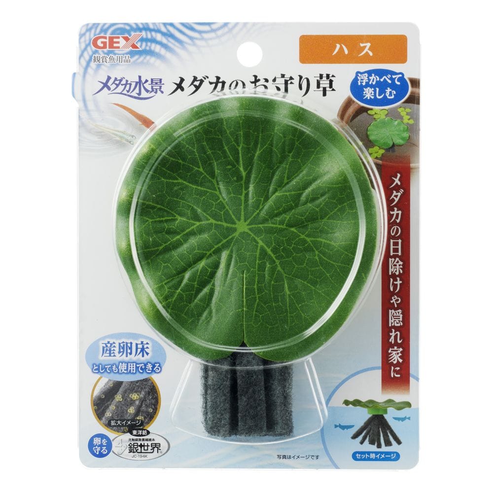 ジェックス メダカ水景メダカのお守り草ハス