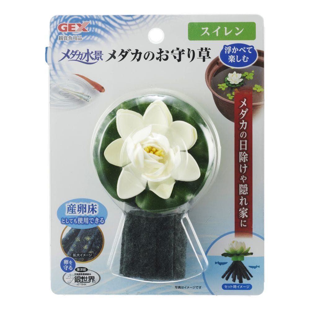 ジェックス メダカ水景メダカのお守り草スイレン