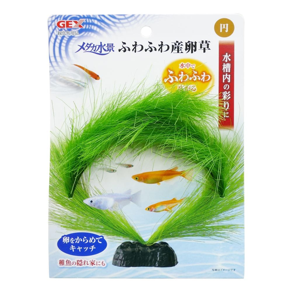 ジェックス メダカ水景ふわふわ産卵草円