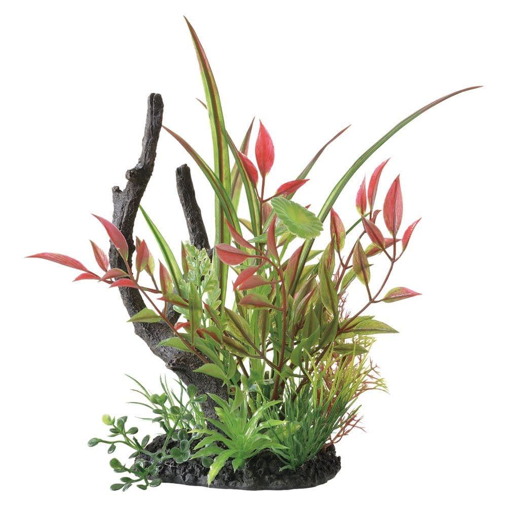 ジェックス 癒し水景MIXルドウィジア