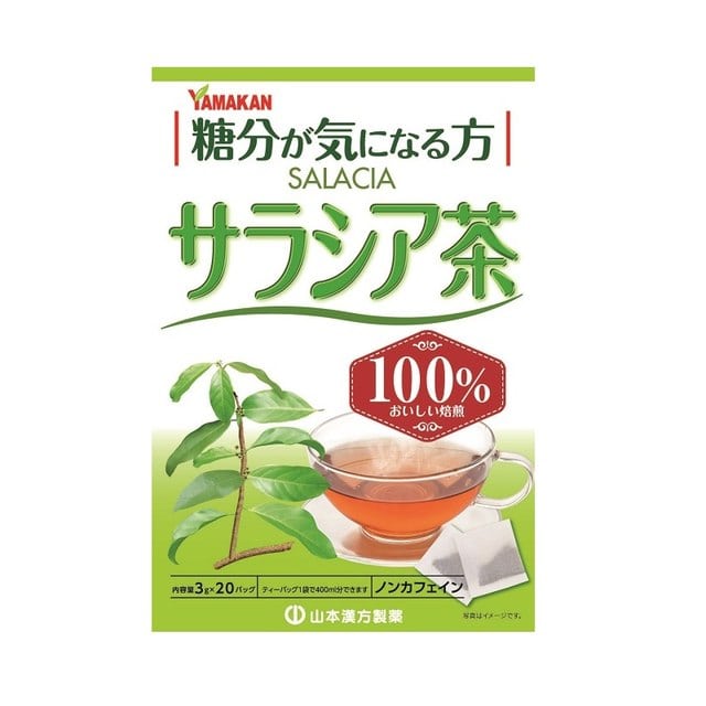 ◆山本漢方製薬 サラシア茶100% 3g×20包