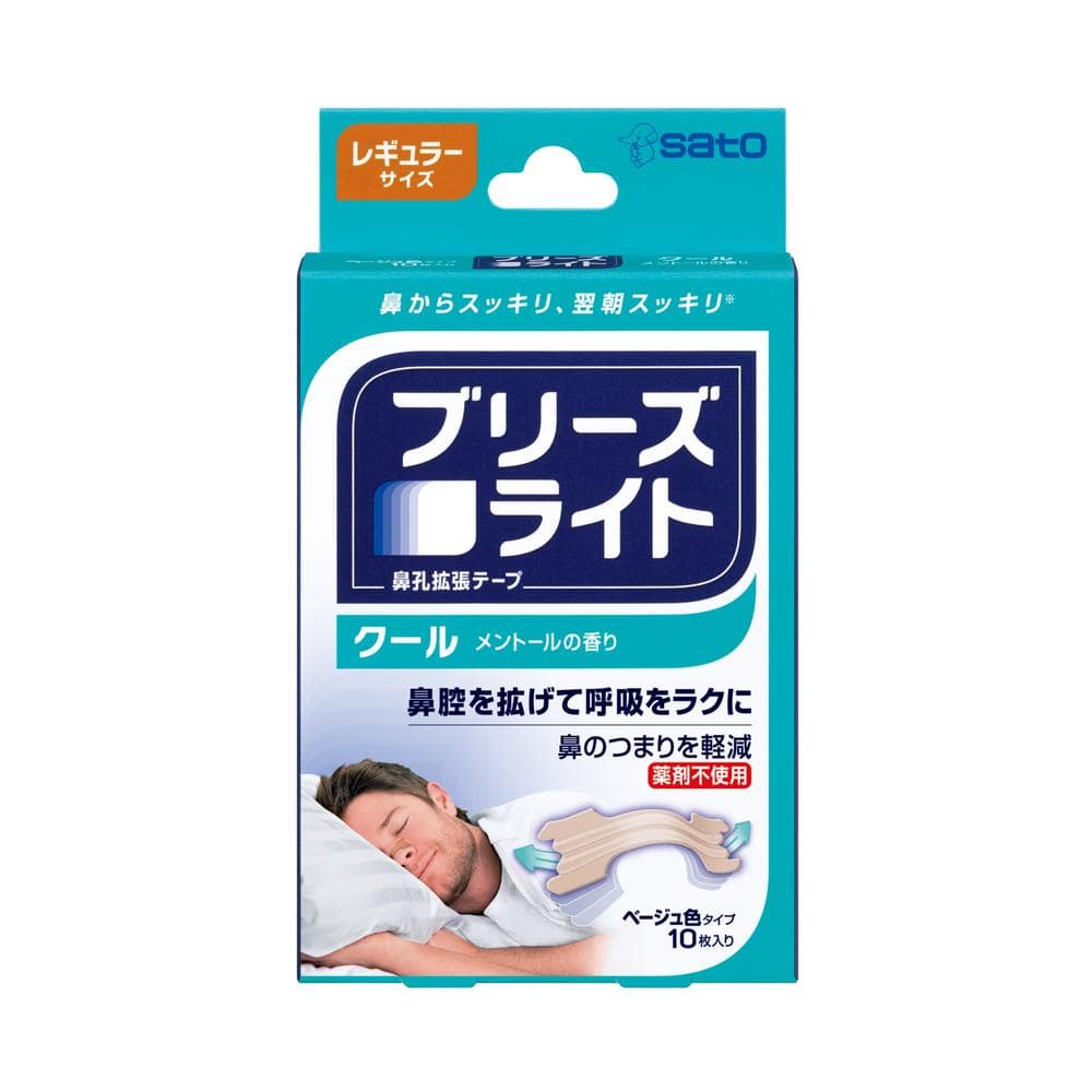 佐藤製薬 ブリーズライト クール レギュラー 10枚   【10個セット】