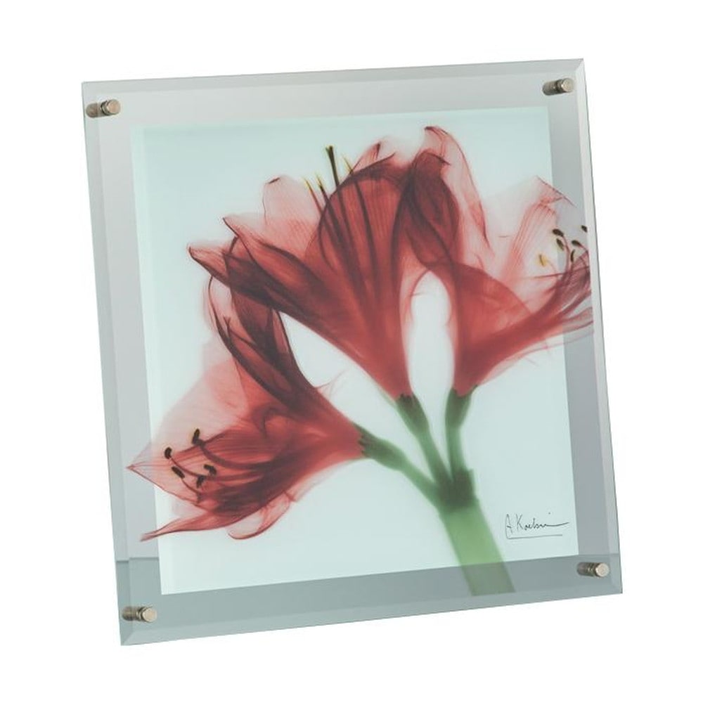 X RAY ガラス アート M 「アマリリス」 【直送品】 返品・キャンセル・他商品と同時購入は不可