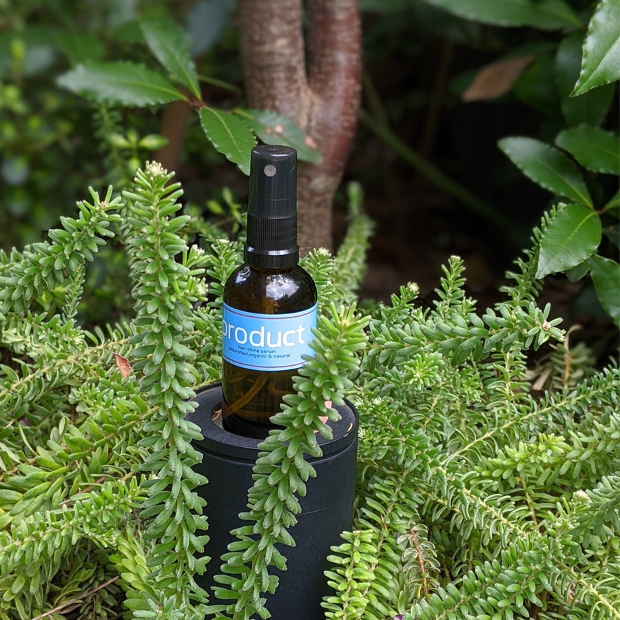 【沙羅】 カタログギフト 梅