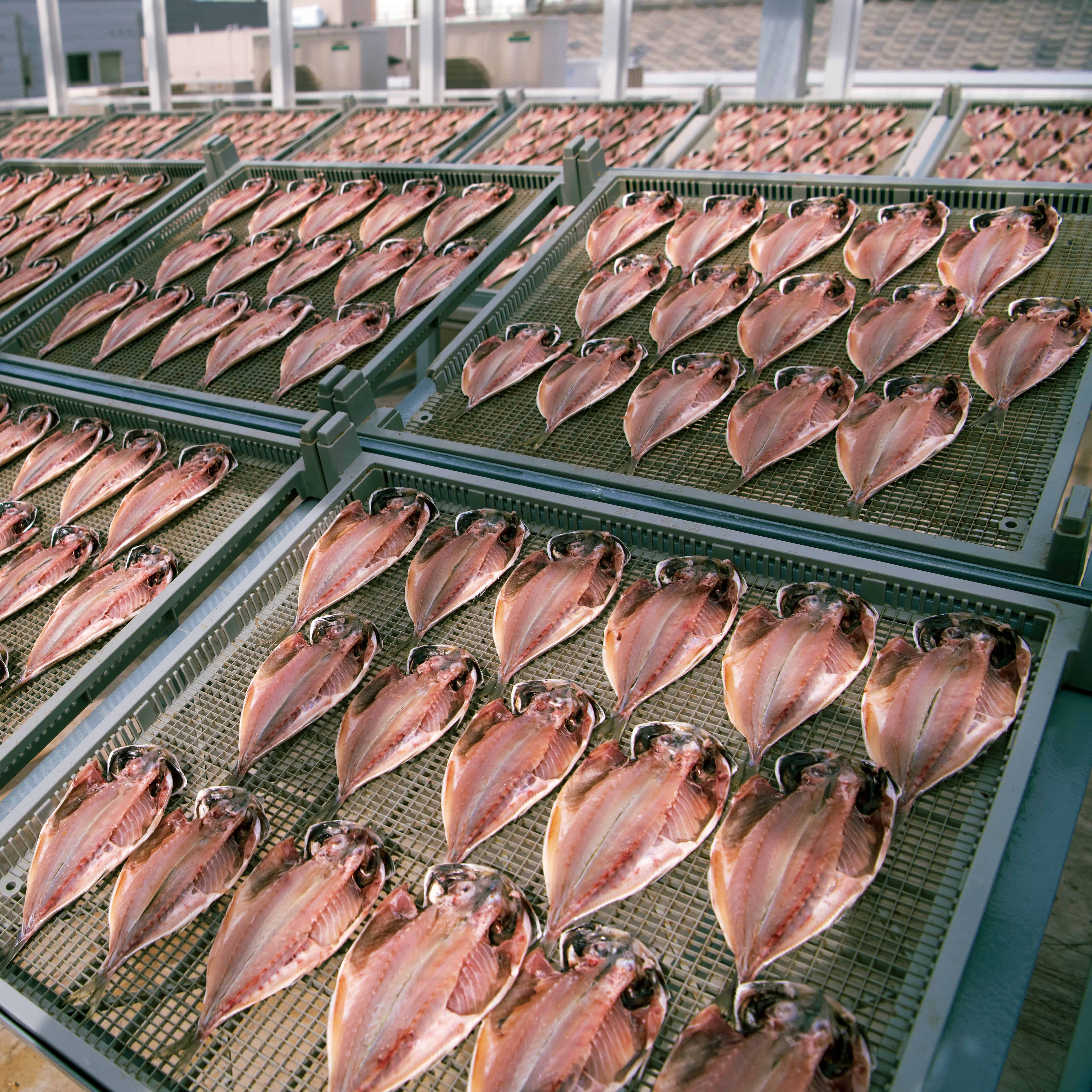 【dancyu】 カードカタログギフト CE-C