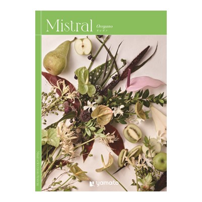 【Mistral(ミストラル)】 オレガノ