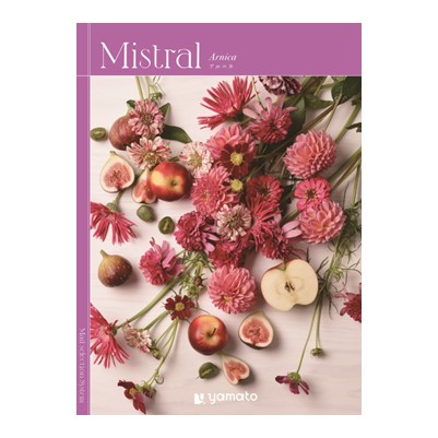 【Mistral(ミストラル)】 アルニカ