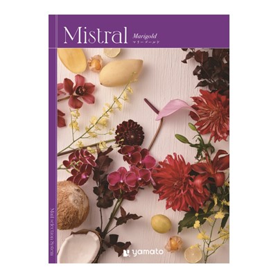 【Mistral(ミストラル)】 マリーゴールド