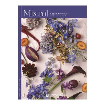 【Mistral(ミストラル)】 イングリッシュラベンダー