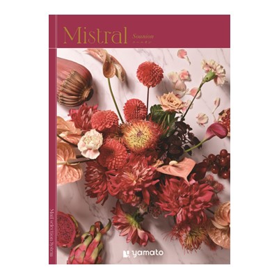 【Mistral(ミストラル)】 スーニオン