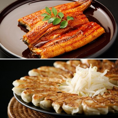 浜松グルメセット（うなぎ＆餃子）