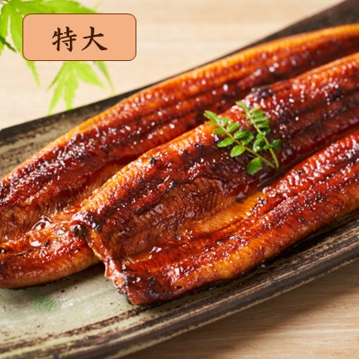 浜松・浜名湖うなぎ特大蒲焼2人前（長焼）