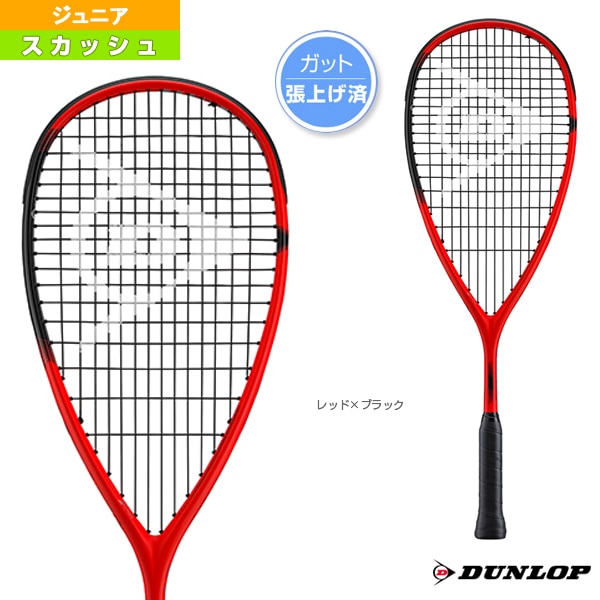 [ダンロップ スカッシュラケット] ソニックコア レヴェレーション／SONIC CORE REVELATION JNR／ジュニア（DSSQ00057）