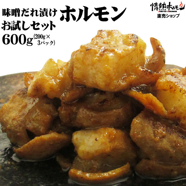 ホルモン味噌だれ漬け お試しセット 600g バーベキュー 肉 BBQ 肉 焼肉セット バーベキューセット 食品 にく 北海道沖縄配送は別途送料追加