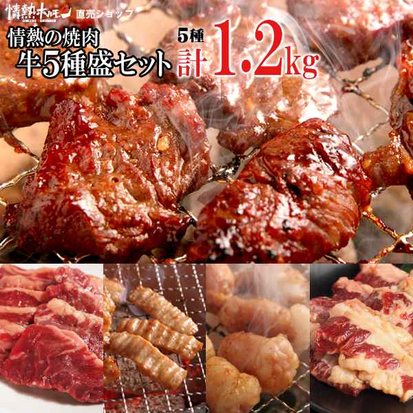 焼き肉 焼肉 計1.2kg 情熱の 焼肉 牛5種盛りセット (ハラミ テッチャン カルビ マルチョウ) バーベキュー BBQ 牛肉 肉(北海道・沖縄配送は別途送料追加)