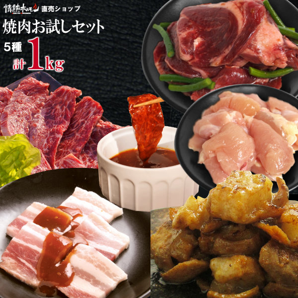 肉 食品 焼き肉 焼肉 計1kg 情熱の 焼肉 5種 お試し セット ハラミ プルコギ牛タン 牛ホルモン 鶏カルビ 豚バラ バーベキュー BBQ 牛肉 肉（北海道・沖縄配送は別途送料追加）