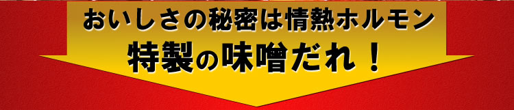 情熱ホルモン特製みそダレ漬けホルモン