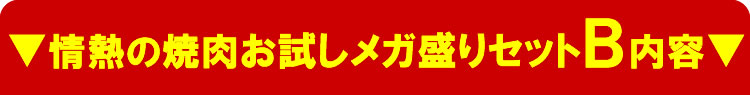 情熱のお試しセットＢ