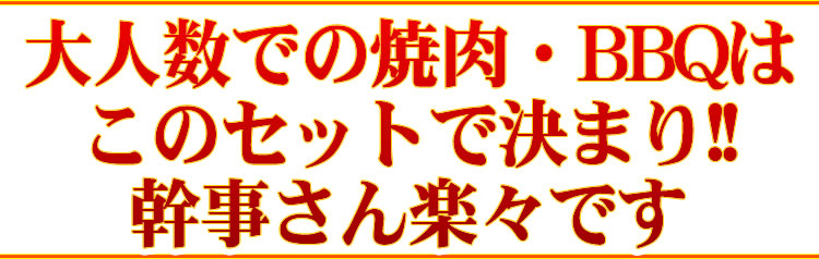 【情熱特撰】人気盛りＢＢＱセット
