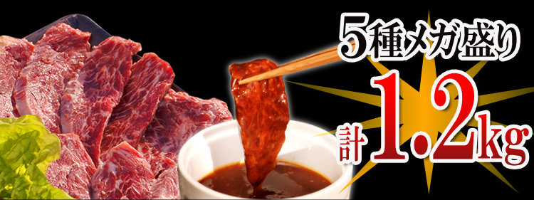 情熱の焼肉牛5種盛