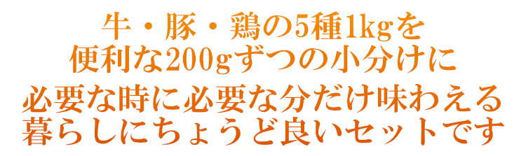 焼肉5種お試しセット