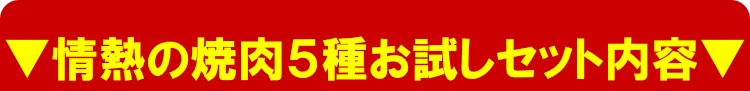 焼肉5種お試しセット